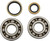 HOT RODS Crankshaft Bearings - Suzuki [K006]