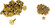 Woody's Carbide Studs - Gold Digger® Traction Master® - 1.075" - 24 Pack [GDP61075]