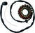 RICK'S MOTORSPORT ELECTRIC Stator - '02-'03 Kawasaki Ninja ZX-12R [21216]