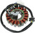 RICK'S MOTORSPORT ELECTRIC Stator - Hot Shot - Suzuki [21801H]