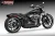 Freedom HD03390: Black / Glossy Black. Manufacturer configuration illustration; printed reference codes may differ.