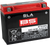 BS BATTERY 300770 SLA Factory- Activated AGM Maintenance-Free Battery - BTX24HL (YTX)