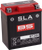 BS BATTERY 300890 SLA Factory- Activated AGM Maintenance-Free Battery - BTZ8V (YT)
