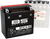 BS BATTERY 300753 Maintenance-Free Battery - BIX30L-BS (YIX)