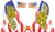 PRO CIRCUIT D22MINI-SS T-6 Exhaust Decals - Stars and Stripes