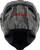 ICON 0101-16243 Airflite™ Tiger's Blood MIPS® Helmet - Tiger's Blood MIPS® Gray Large