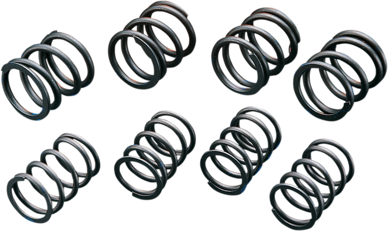 ANDREWS 272110 High-Lift Valve Springs