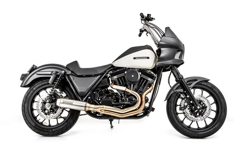 Bassani Road Rage 3 スポーツスター リジッドエボ用 1X62SS_.jpg