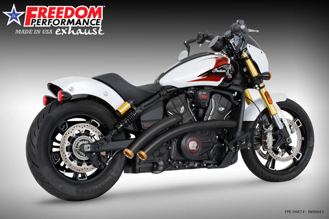 Freedom IN00643 Radical Radius Exhaust Black w Gold Sculpted