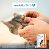 Revolution Plus Medium Cat Orange