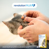 Revolution Plus Small Cat & Kitten Yellow