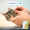 Revolution Plus Large Cat Green