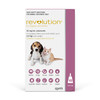 Revolution Pink For Puppies & Kittens