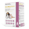 Revolution Pink For Puppies & Kittens