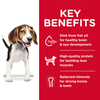 HILLS SCIENCE DIET Puppy Dry Food