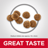 HILLS SCIENCE DIET Puppy Dry Dog Food
