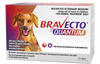BRAVECTO® QUANTUM