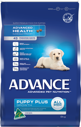 Puppy Chicken Healthy Advantage Large Breed Puppy Pet Supplies