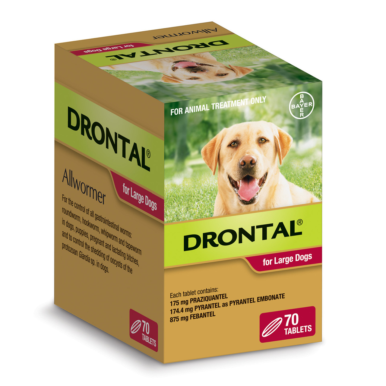 drontal large dog