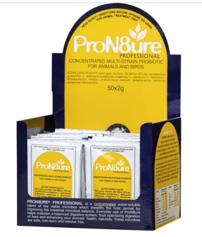 Buy ProN8ure Professional Concentrated Probiotic Powder (50x 2g