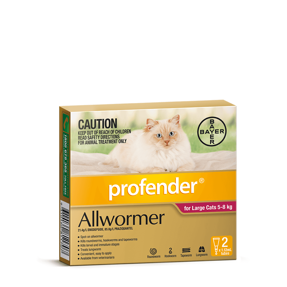 allwormer for cats