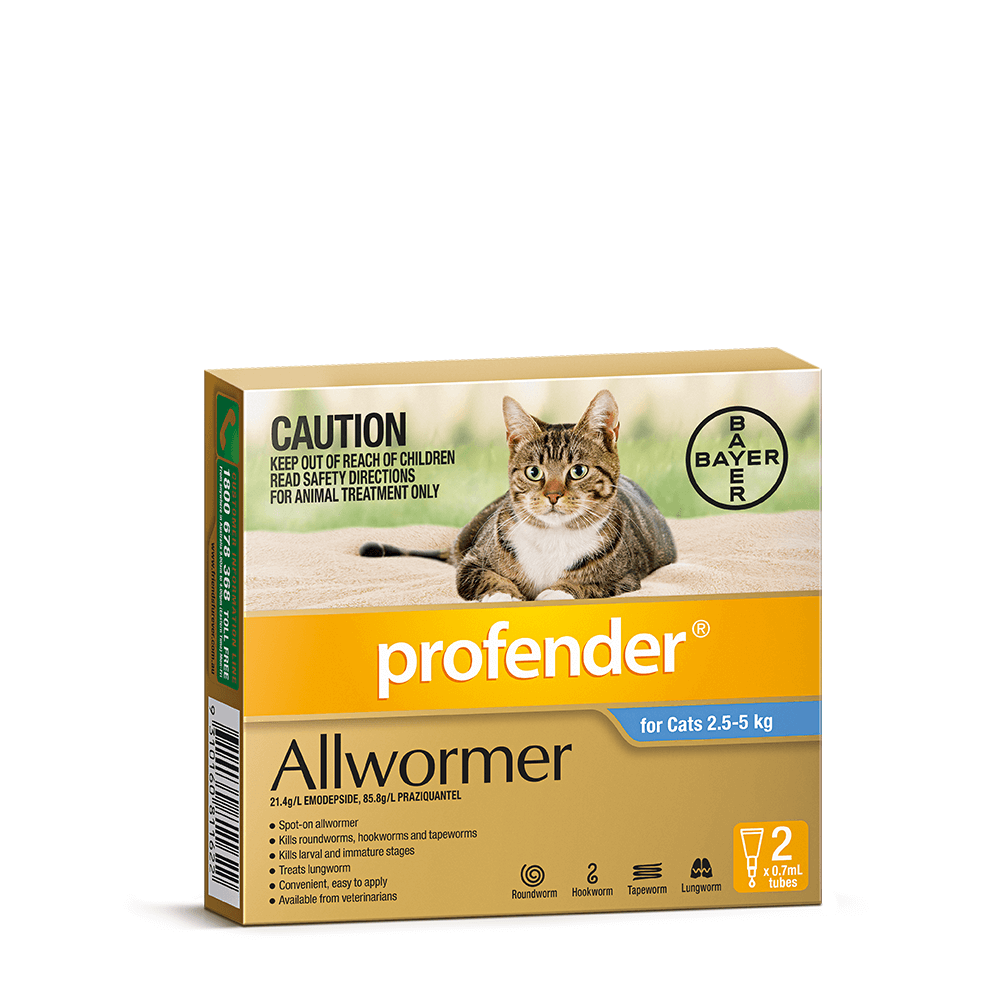 allwormer for cats