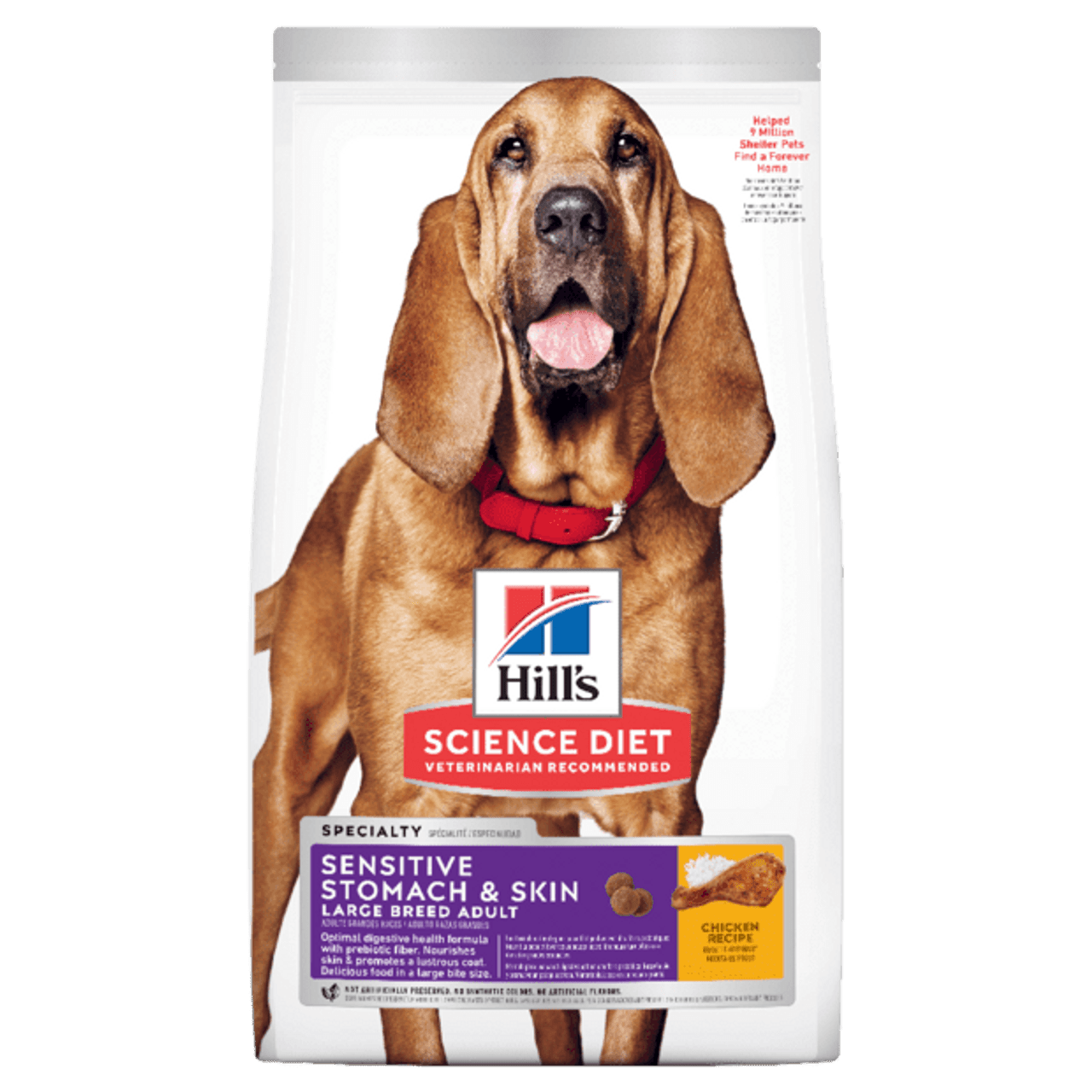 inexpensive dog food for sensitive stomach