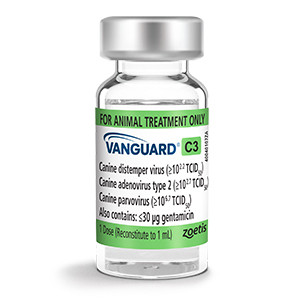 Vanguard When Can Puppies Get Parvo Vaccine Canine Leptospirosis