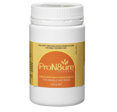 ProN8ure Probiotic Soluble Powder (Orange)