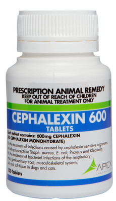 Buy cephalexin online australia