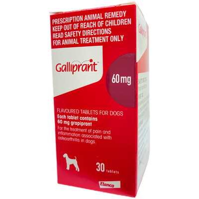 Galliprant and deals gabapentin for dogs