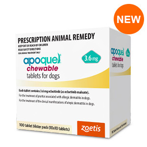 Apoquel Chewable 3.6mg Blister Pack 10x10 (100 Chews)
