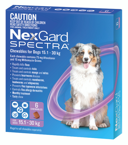 NEXGARD SPECTRA Large Dog Purple