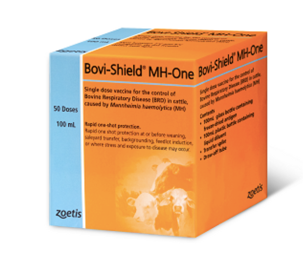 BOVI-SHIELD MH-ONE 50 doses
