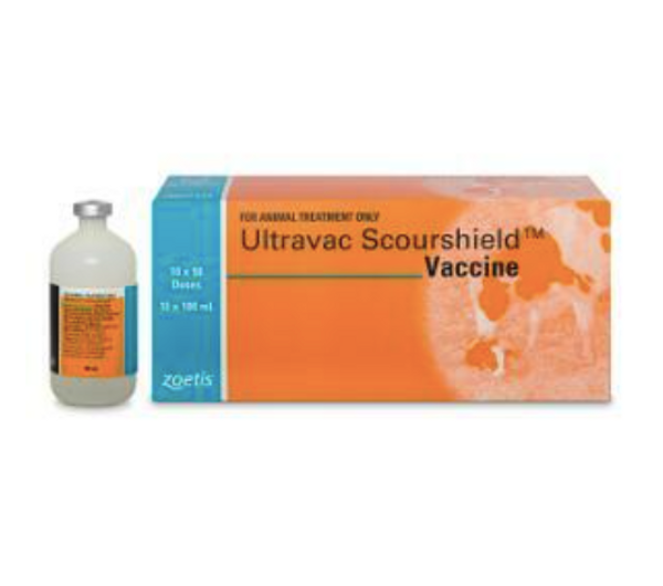 Ultravac Scourshield Vaccine  100mL vial