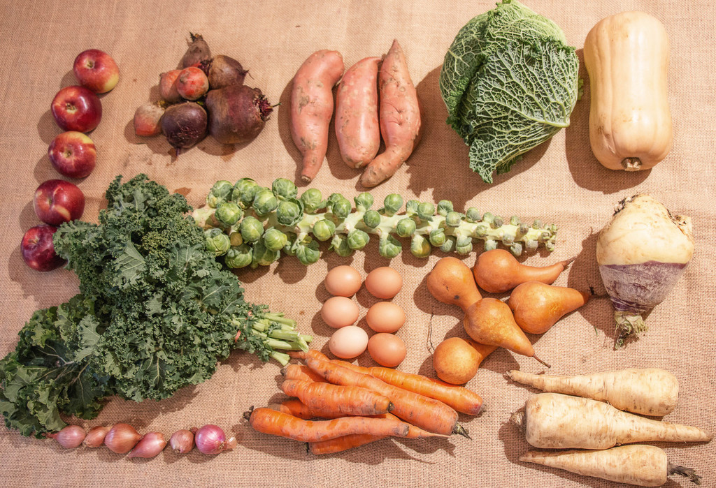 Fall/Winter CSA  - 8 Week's of Seasonal Fall Produce SIGN UP September 17th - Oct 6th 2025
