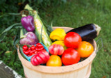 2024 CSA - Summer Garden Harvest  Bag - 16 Weeks of Ultra Fresh Produce