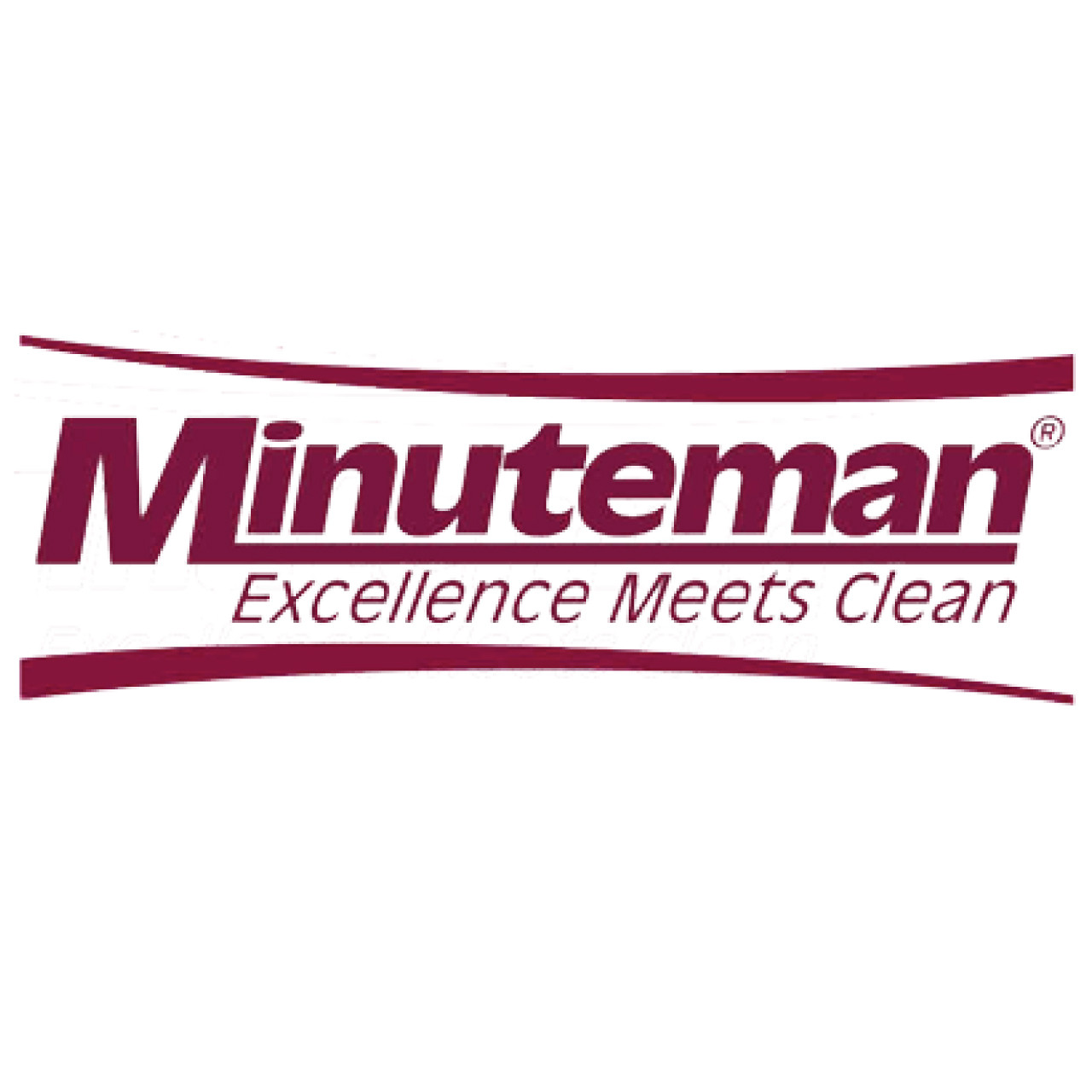 Minuteman 281400-1 REPLACEMENT WHEEL FOR 281400, 300MM DIA pic