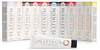 HIPERTIN - PLATINUM - Nutritive Color Mask 100ml
