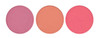 BODYOGRAPHY - Forever Summer Cheek Palette - Powder Blush