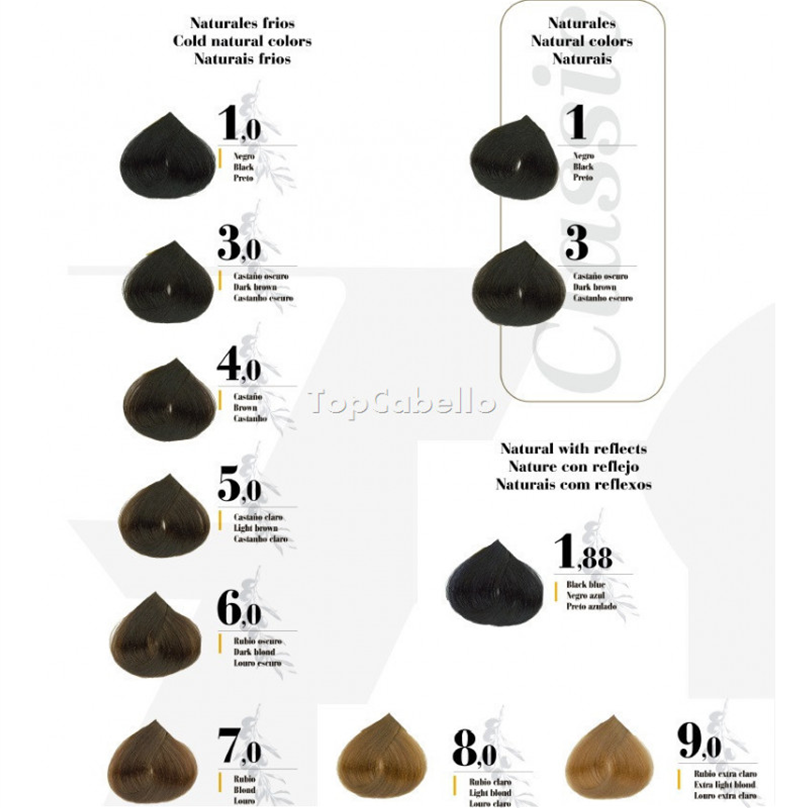 SALERM COSMETICS Zero 0 Ammonia Hair Colour Chart Salon Cosmetics