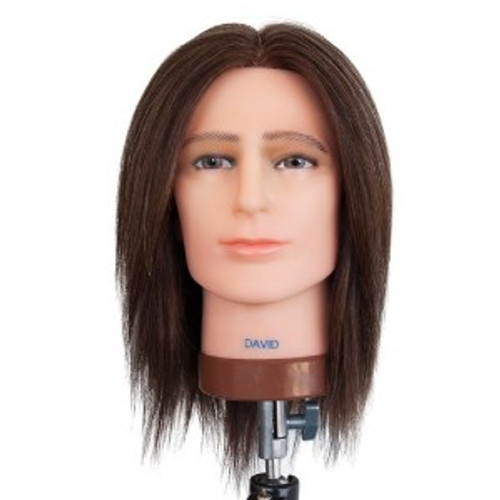 DATELINE IMPORTS - Deluxe Mannequin - David