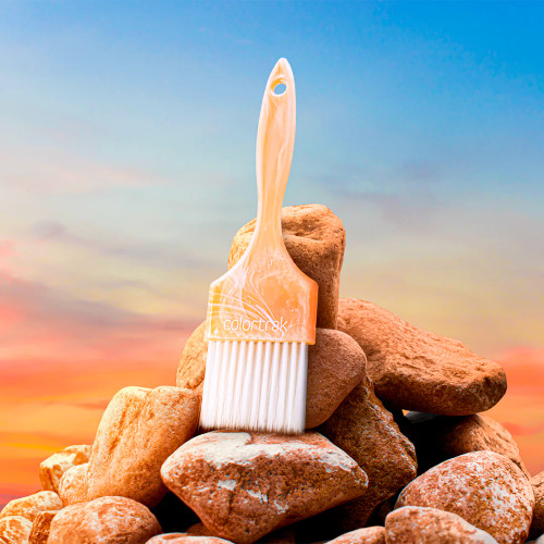 COLORTRAK - Canyon Skies Paint Brush