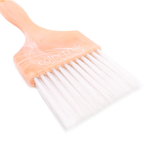 COLORTRAK - Canyon Skies Paint Brush