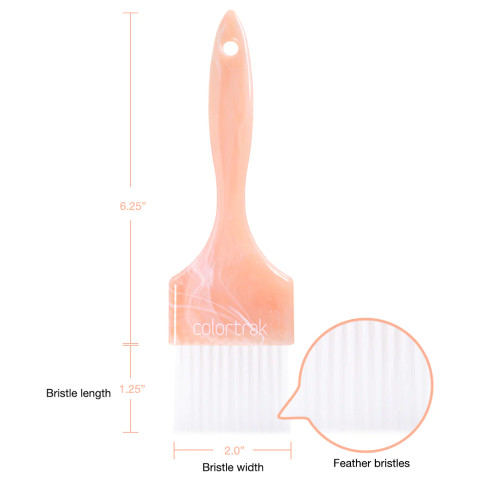 COLORTRAK - Canyon Skies Paint Brush