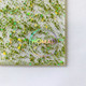 NOMAD HAIR PRO - Avril (Green) Glitter Foil / Balayage Board - Shawty