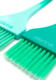 COLORTRAK - Tripsy Collection - Miami Brush 2pk