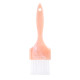 COLORTRAK - Canyon Skies Paint Brush