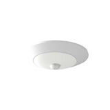 RAB DSKFA-4R109CCT120WS/PIR LED Lighting