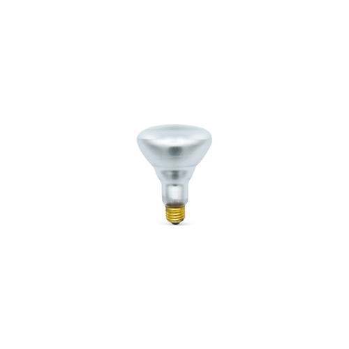 Phillips 100R30/FL Incandescent Bulbs